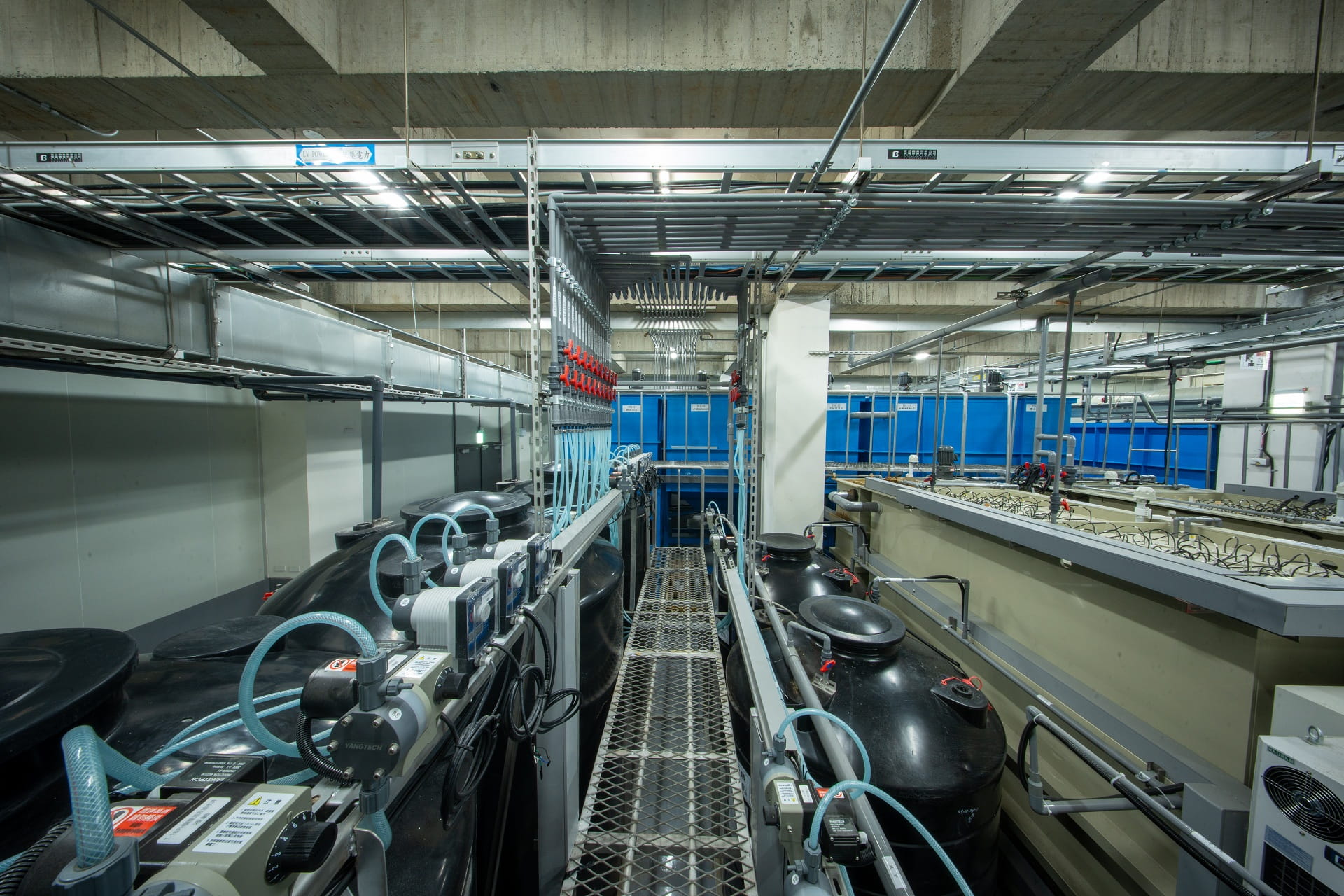 實踐 ESG 永續願景，打造零澱粉綠色工廠，碩晨積極落實「Clean（超潔淨）、Conservation（節能環保）、Collaboration（協同創新）」的核心價值。 (1)