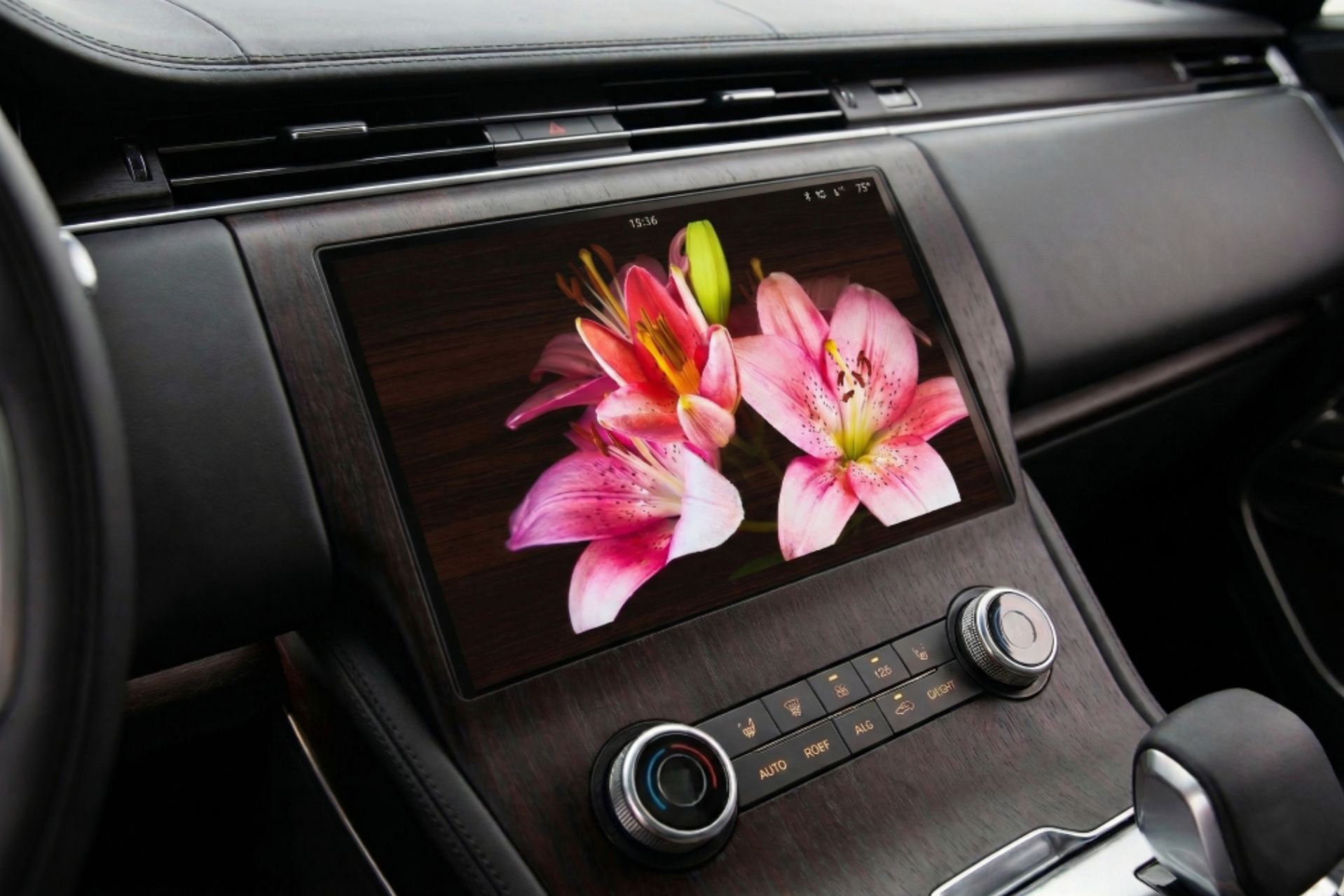 istockphoto-1020067290-2048x2048 istockphoto-1020067290-2048x2048